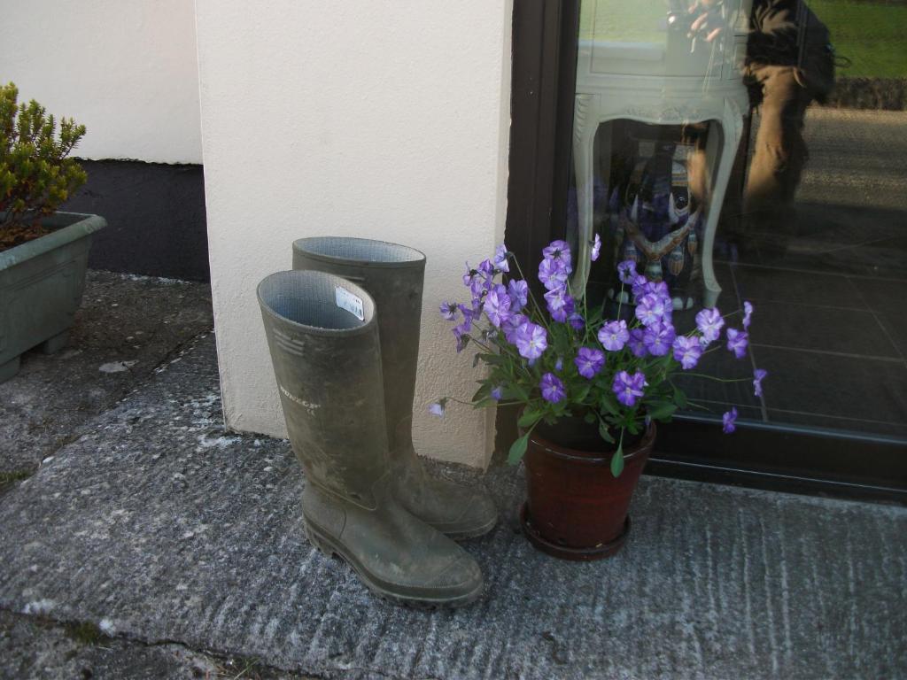 Riverdale Farmhouse Bed and Breakfast Doolin Esterno foto